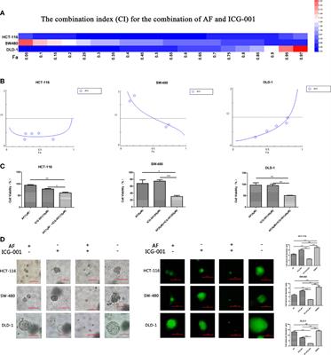 Combination of Auranofin and ICG-001 Suppress the Proliferation and Metastasis of Colon Cancer